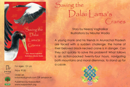 Cranes Flyer