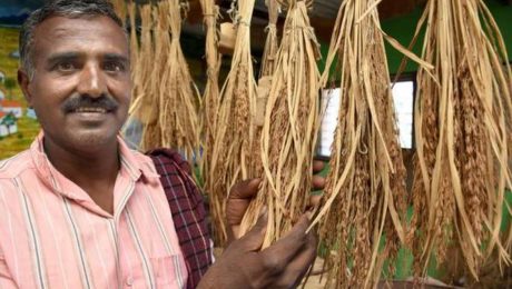 krishnakumarboregowdapaddy