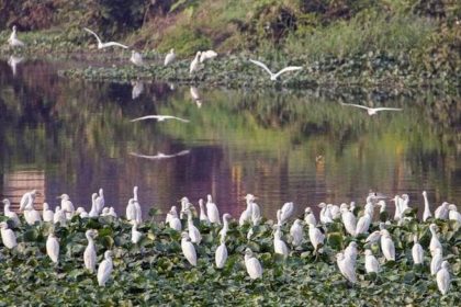 21THWETLANDS