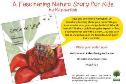 Bee Book Flyer – 2nd ed English