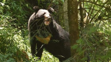 21YTCONSERVATION1JPG