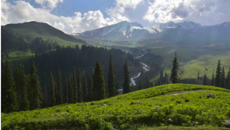 Screen Shot 2019-09-04 at 11.44.17 AM