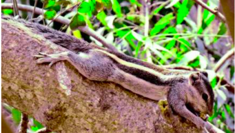 Screen Shot 2019-12-10 at 3.36.41 PM