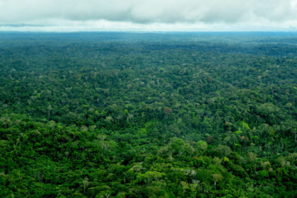 Amazon-Shell-to-Llanchamacocha-flight-at-Ashish-Kothari