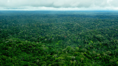 Amazon-Shell-to-Llanchamacocha-flight-at-Ashish-Kothari