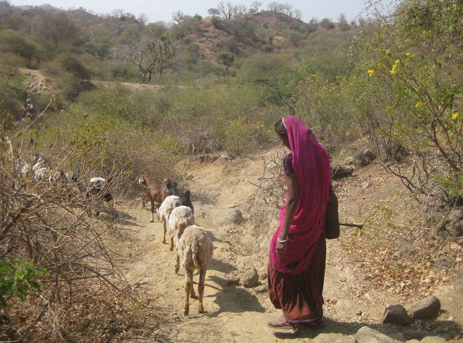 Screen Shot 2020-07-17 at 2.21.07 PM