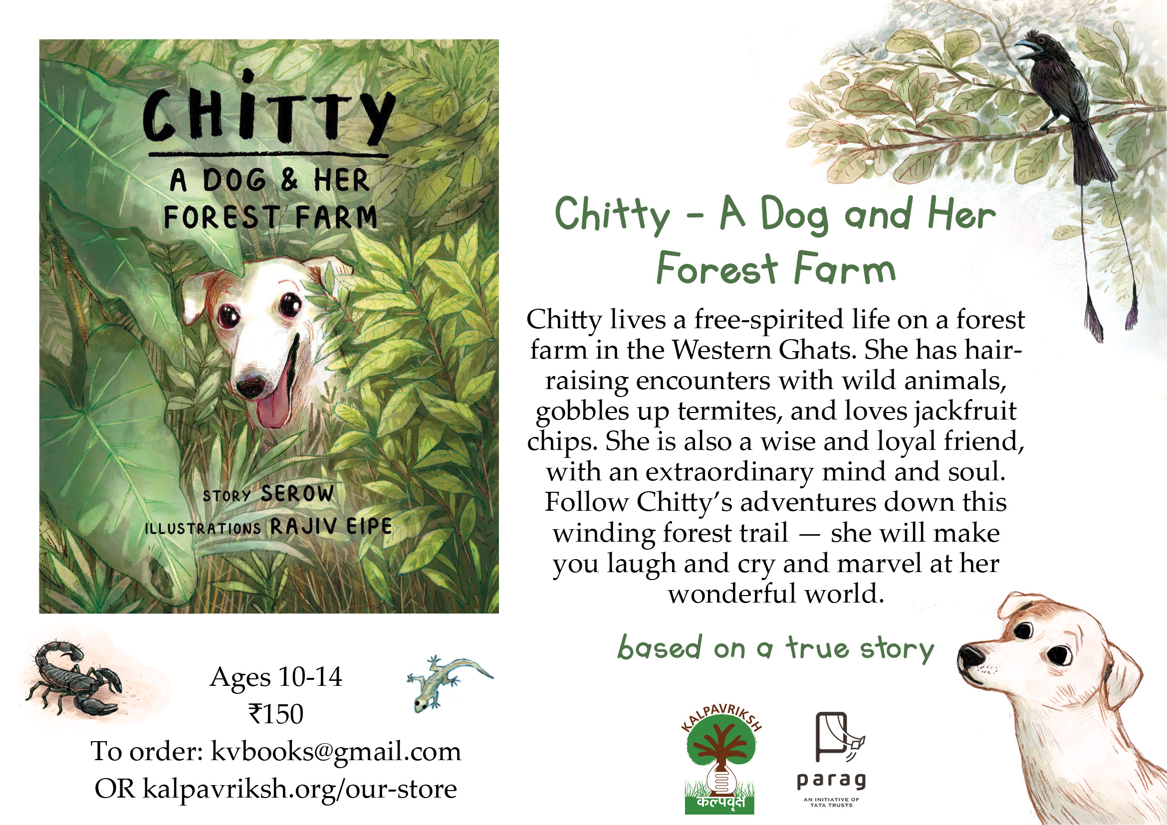 Chitty and her forest farm', our new book for children! – Kalpavriksh