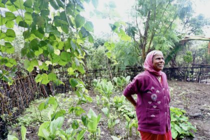 Strengthening Local Food Systems Through Kitchen Gardening In   Screenshot 2022 09 12 At 1.31.10 PM 420x280 C 