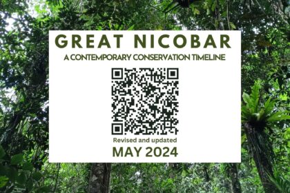 A5 landscape poster_GNI Timeline