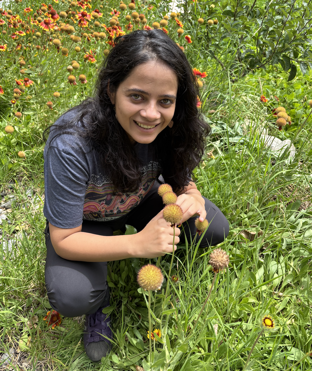 Screenshot 2026-02-28 at 7.53.33 PM